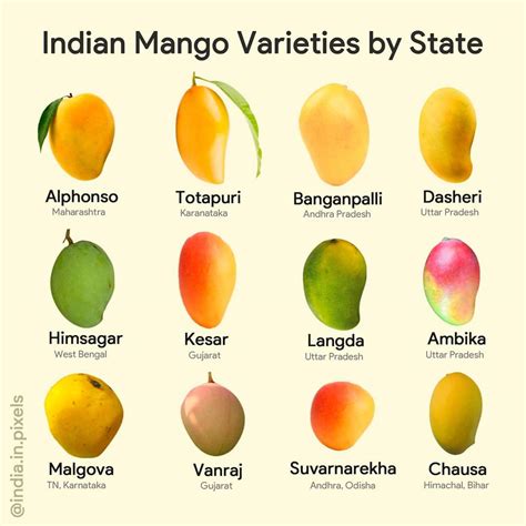 mango megis|55 Different Types of Mangoes .